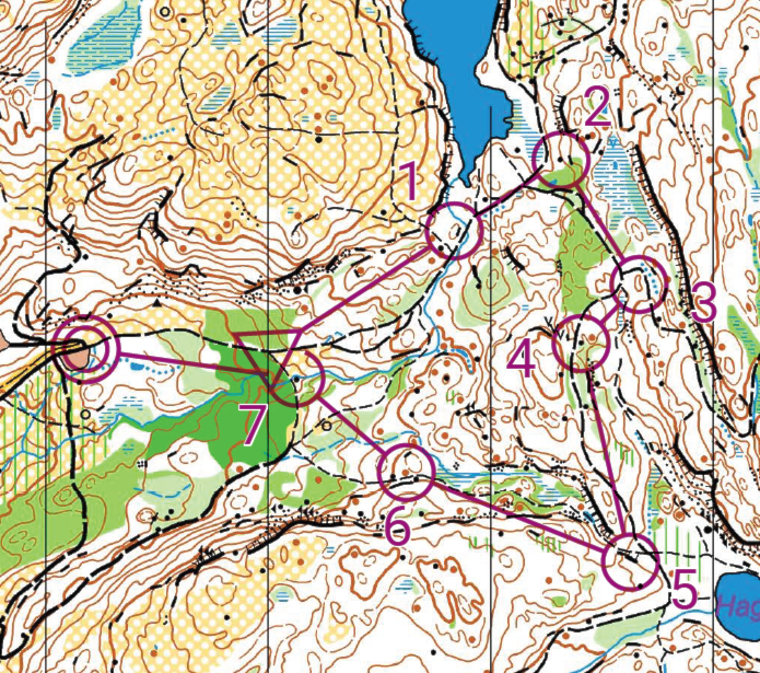 Treningsløp Harakollen